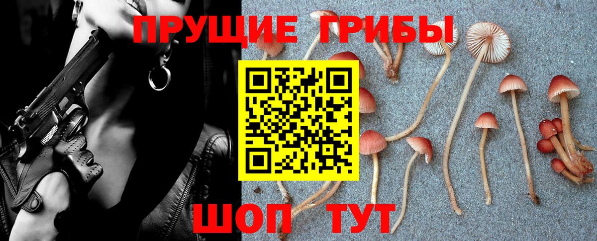 Галлюциногенные грибы прущие грибы  Вход с VPN  Новочеркасск  Псилоцибиновые грибы MAGIC MUSHROOMS 