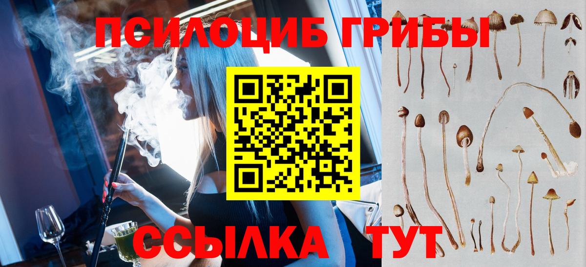 Псилоцибиновые грибы Psilocybine cubensis Новочеркасск